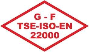 TSE 22000